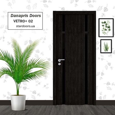 Міжкімнатні двері DANAPRIS DOORS Vetro+ 02 Art Decor Danapris ADr Vetro+ 02 фото