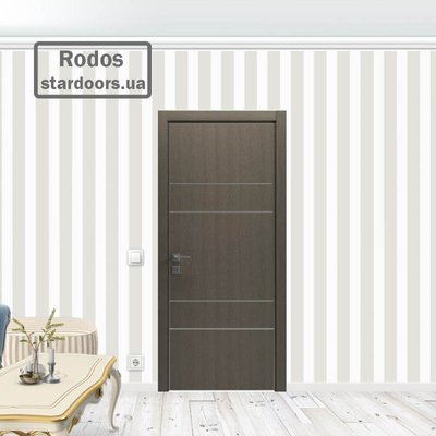 Міжкімнатні двері Rodos Flat-04 глухе+alum 469 Modern фото